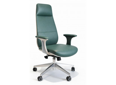 Ergonomischer Bürostuhl in Grün mit verstellbaren Armlehnen und Rücken