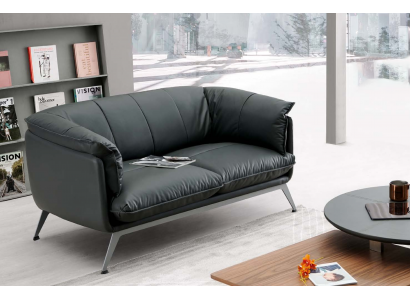 Kunstleder 2-Sitzer Sofa in Grau modern