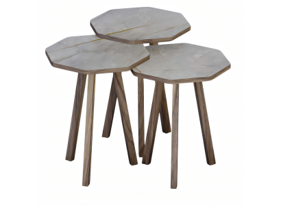 Moderner grauer Holz-Couchtisch-Set für Wohnzimmer
