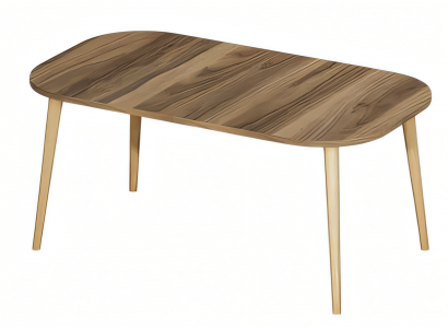 Moderner Couchtisch aus Holz in Braun