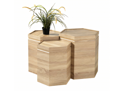 Elegantes braunes Holz Couchtisch-Set im stilvollen Design