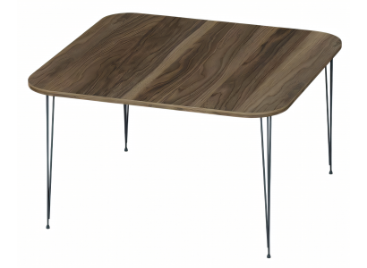 Moderner Couchtisch aus Holz in Braun