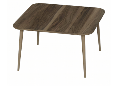 Eleganter brauner Couchtisch aus Holz im modernen Design