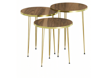 Elegantes braunes Couchtisch-Set aus Holz und Edelstahl
