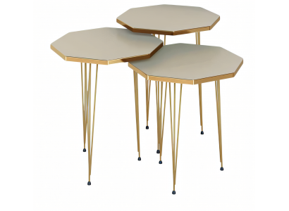 Edles Beiges Couchtisch-Set aus Holz und Edelstahl, modern