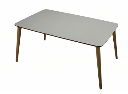 Moderner grauer Holz-Couchtisch stilvoll und robust