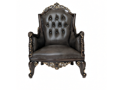 Moderner brauner Ledersessel stilvoll und elegant