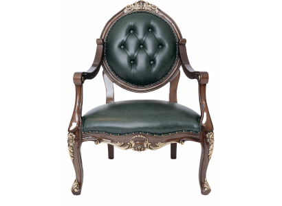 Grüner Leder-Sessel modern und elegant
